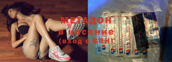 сатива Бородино