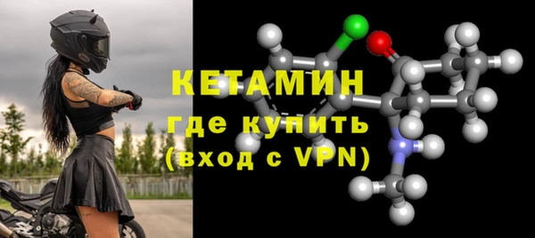 сатива Бородино