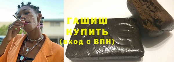 сатива Бородино