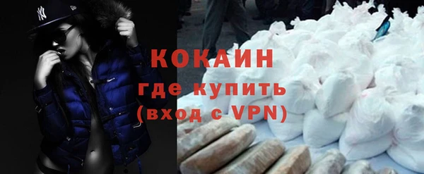 сатива Бородино