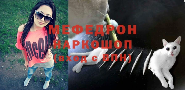 сатива Бородино