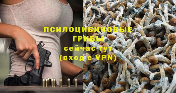 2c-b Бронницы