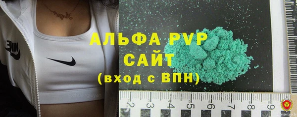 сатива Бородино