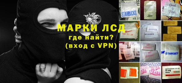 сатива Бородино