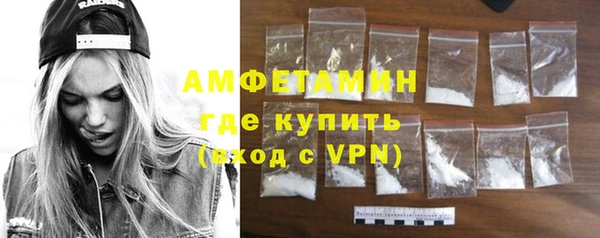 сатива Бородино